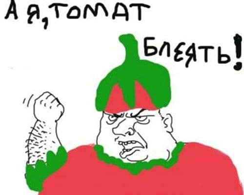 a-ya-tomat1.jpg.1be9fb7d4bfd20cd2304e088