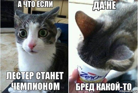 risovach.ru.jpg.64d3c8673e40f9b3592414dc