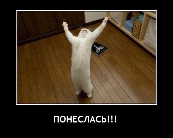 491c49.jpg.c1faa38fc02a1e2c97da3039feca5