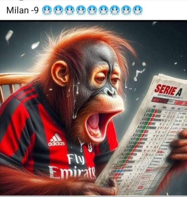 Screenshot_20241209-174256_Instagram.jpg