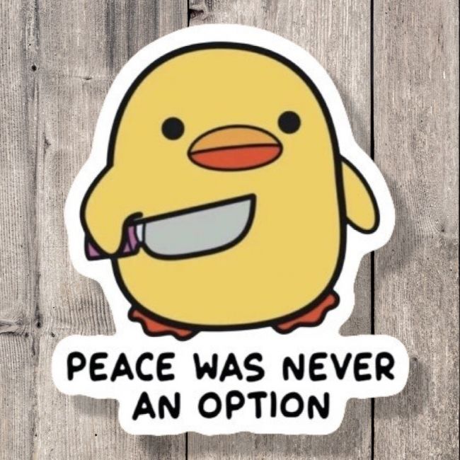 duck1.jpg
